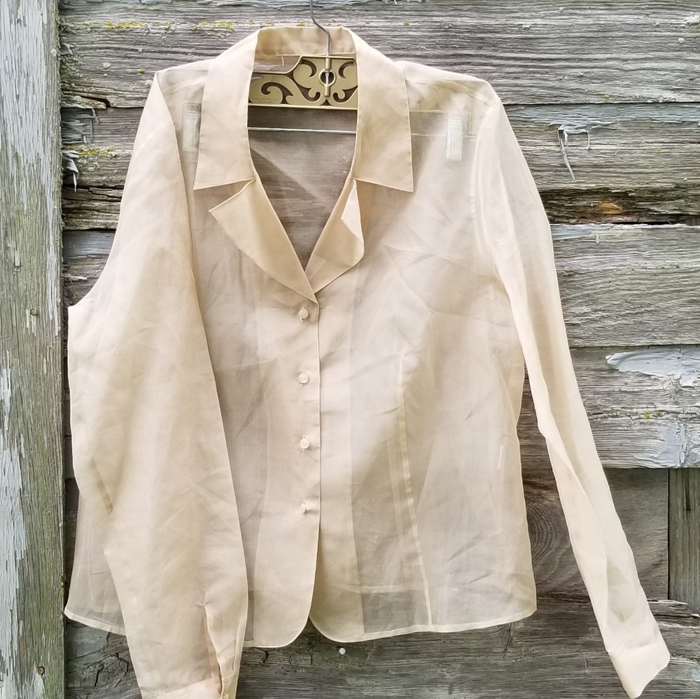 Silk Sheer Button up Blouse